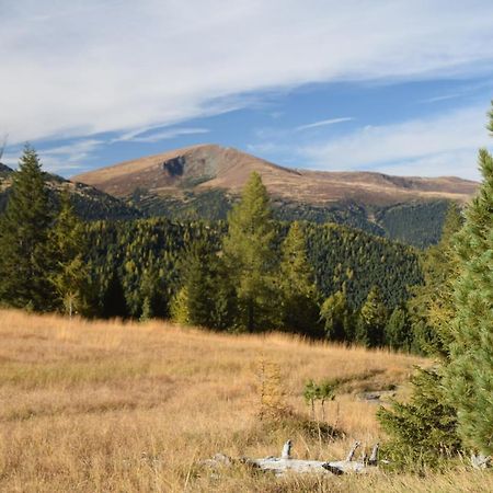 Alpenflair Appartment Mit Aussicht Zum Traeumen Turracher Hoehe Bagian luar foto