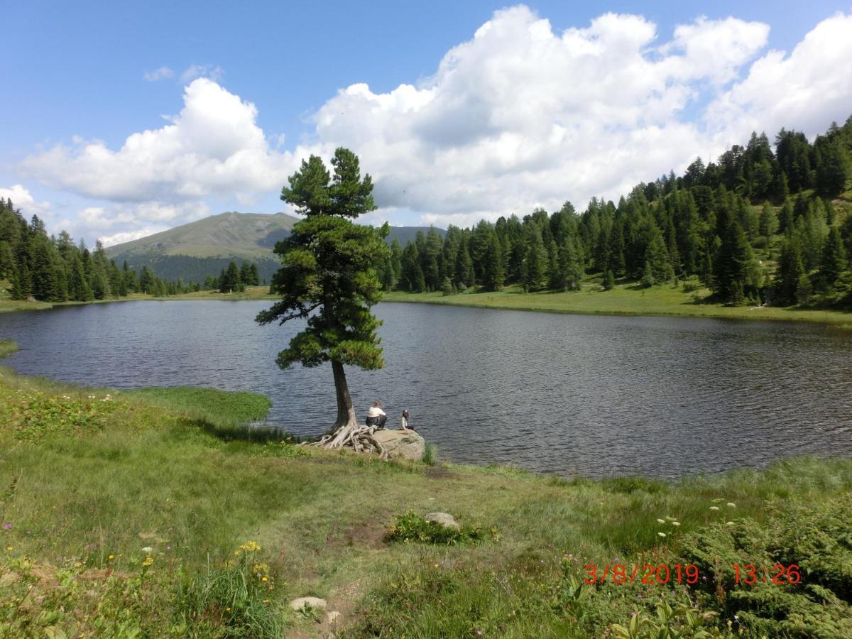 Alpenflair Appartment Mit Aussicht Zum Traeumen Turracher Hoehe Bagian luar foto