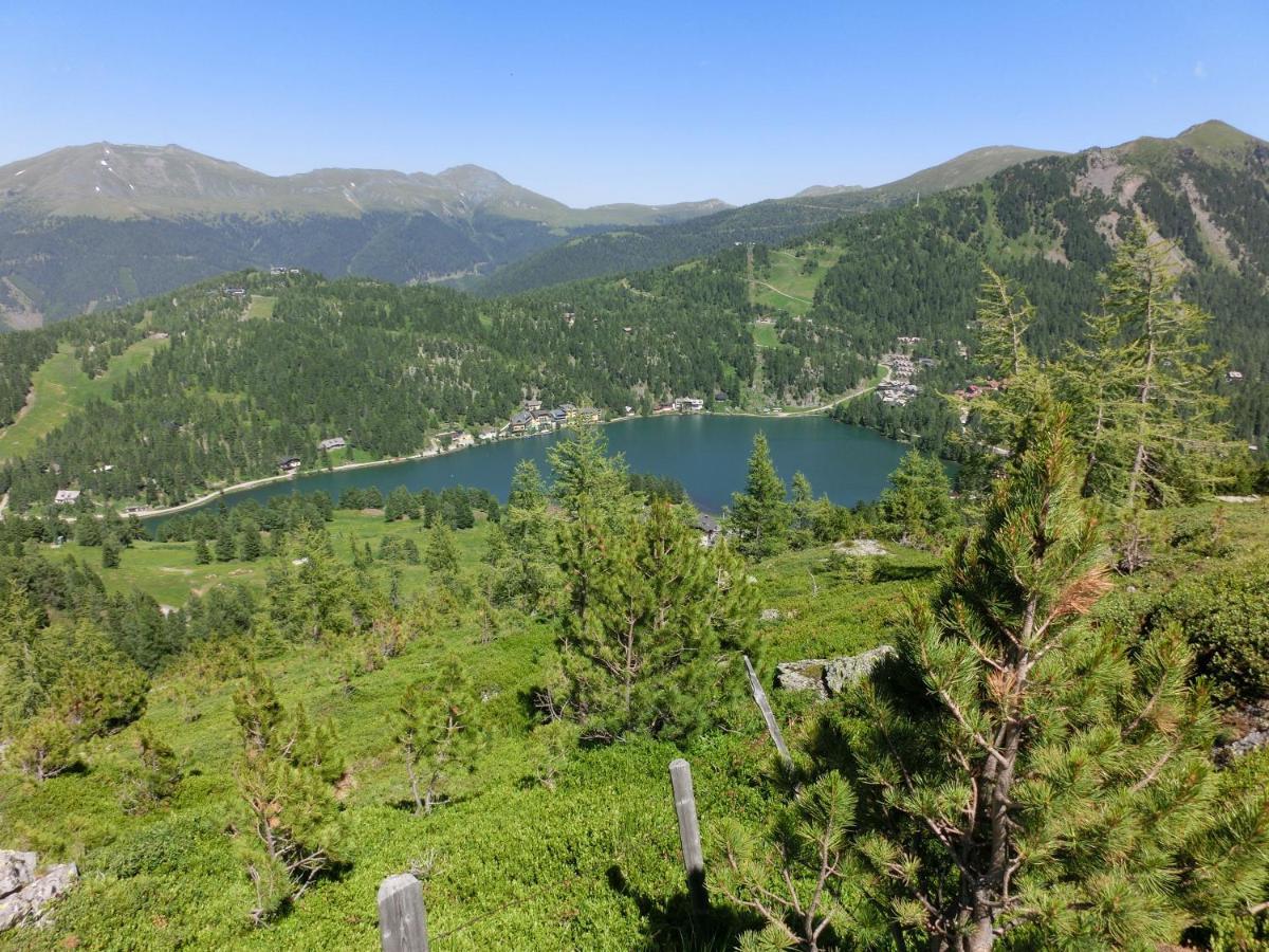 Alpenflair Appartment Mit Aussicht Zum Traeumen Turracher Hoehe Bagian luar foto