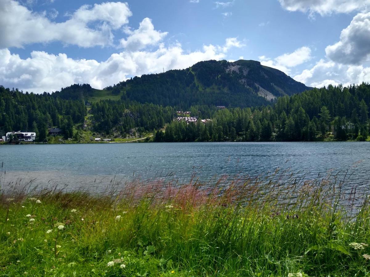 Alpenflair Appartment Mit Aussicht Zum Traeumen Turracher Hoehe Bagian luar foto