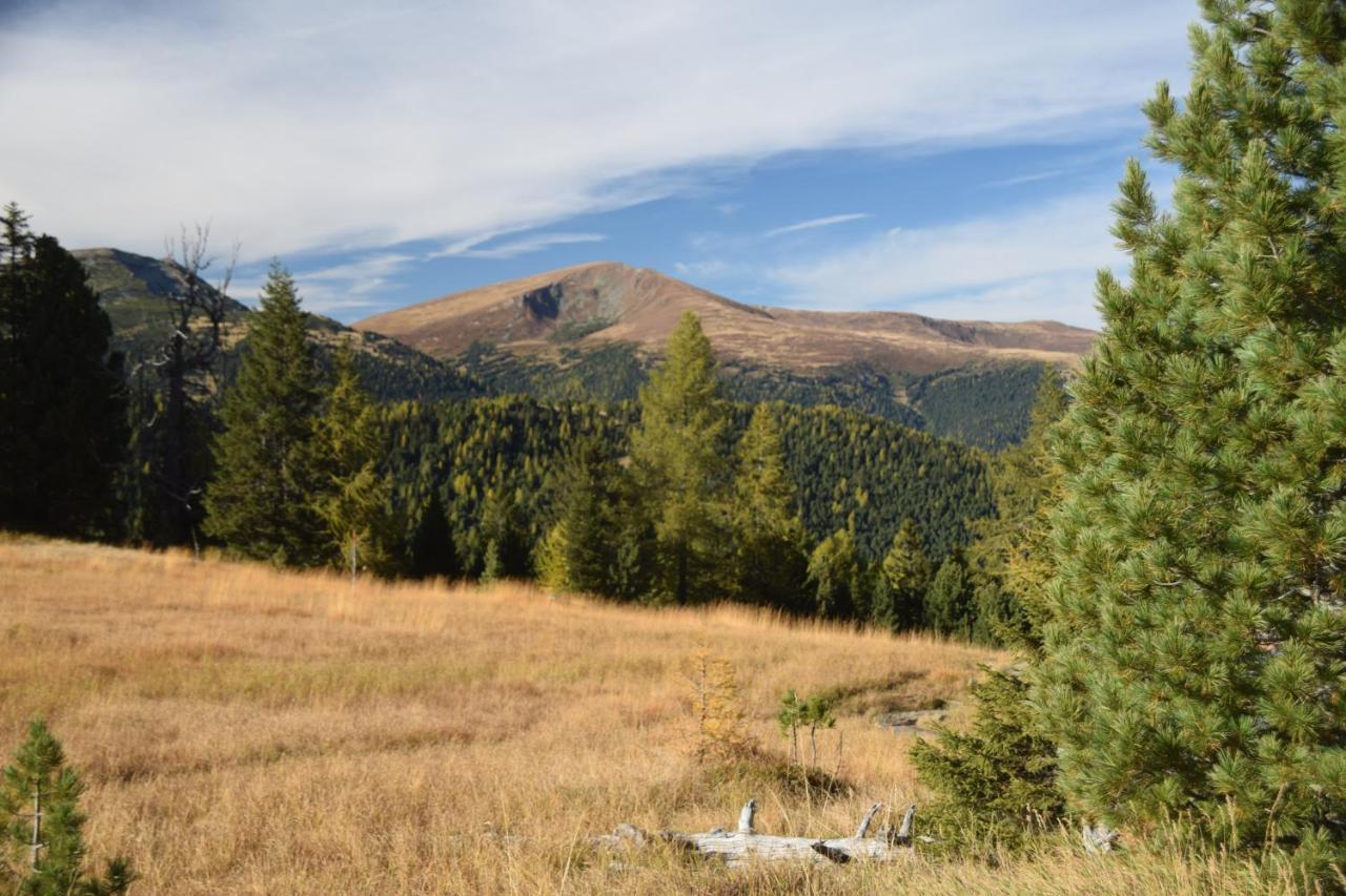 Alpenflair Appartment Mit Aussicht Zum Traeumen Turracher Hoehe Bagian luar foto