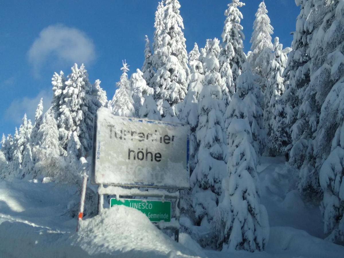 Alpenflair Appartment Mit Aussicht Zum Traeumen Turracher Hoehe Bagian luar foto